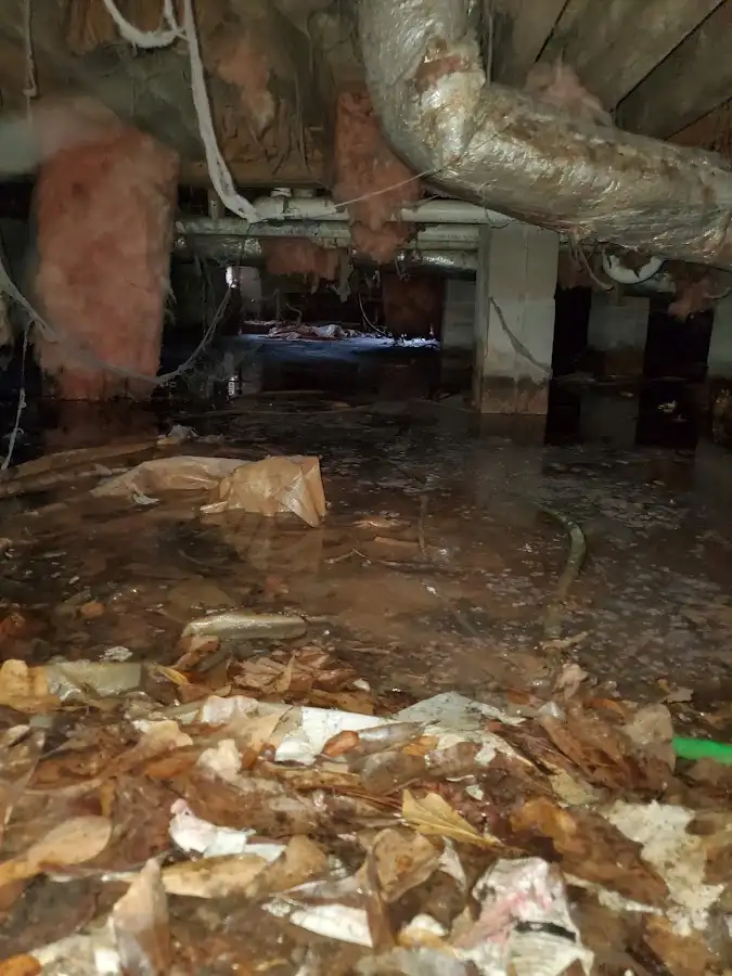 Crawl space flood assessment for Leak Detection & Repair in Pittstown